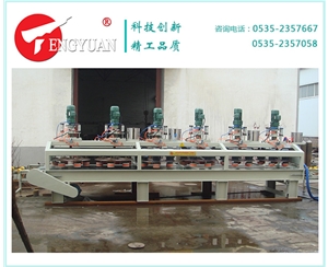 6頭新2式超亮打蠟機